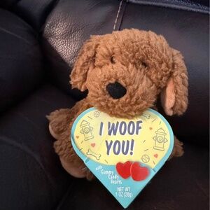 Valentines puppy with candy